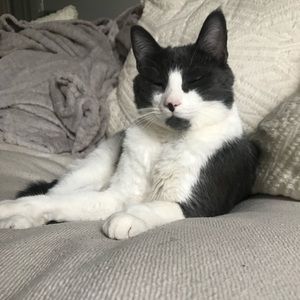 Meet your Posher, Anam